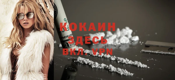 твердый Ладушкин