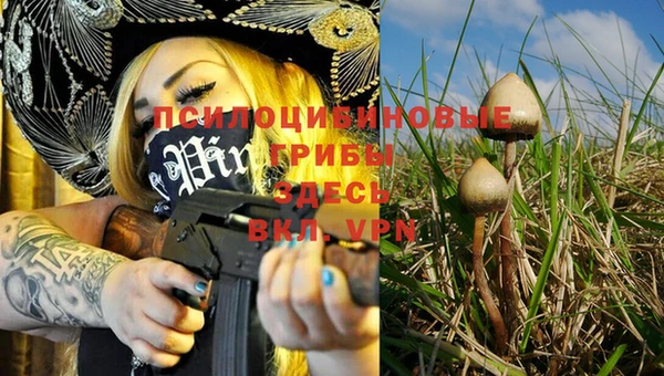 spice Лихославль