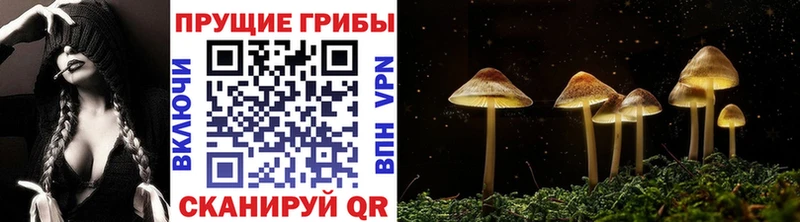 Псилоцибиновые грибы Psilocybe  Липецк 