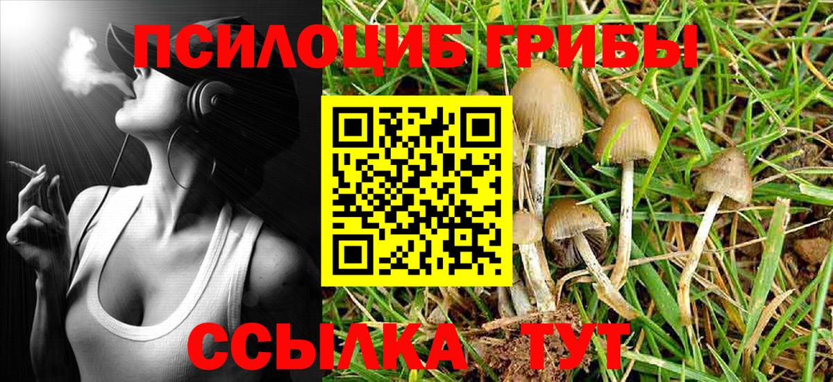 Псилоцибиновые грибы Cubensis  Галлюциногенные грибы MAGIC MUSHROOMS  Липецк  Вход с VPN 